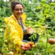 future of sustainable farming