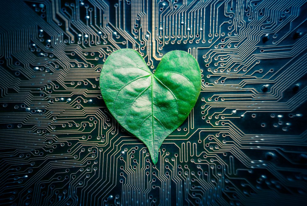 Tips for Setting Up Your New Computer as a Green Consumer - Vimarsana News
