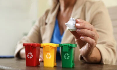 waste management techniques