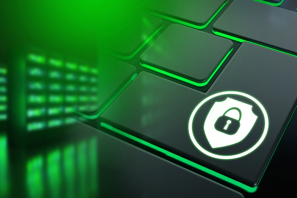 Can Eco-Friendly Businesses Embrace VPNs to Bolster Cybersecurity? - Vimarsana News