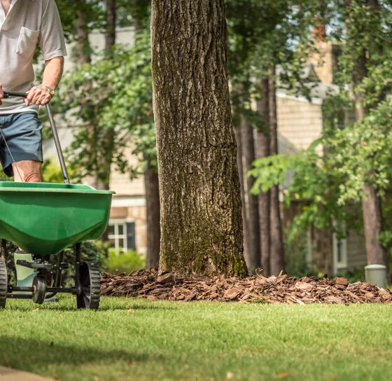 eco-friendly lawn fertilizer