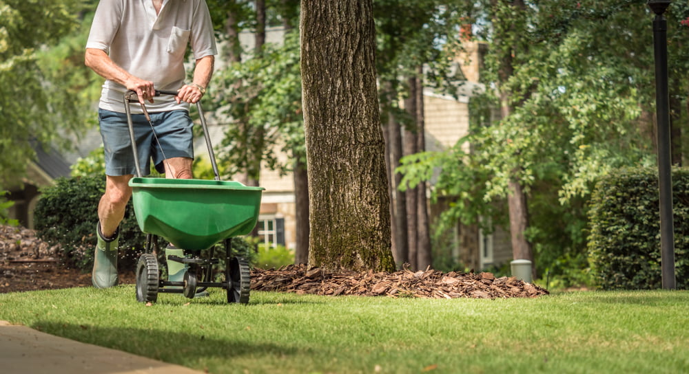 Sustainable Fertilization Tips to Create an Eco-Friendly Lawn - Vimarsana News