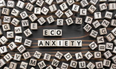 Eco-anxiety,