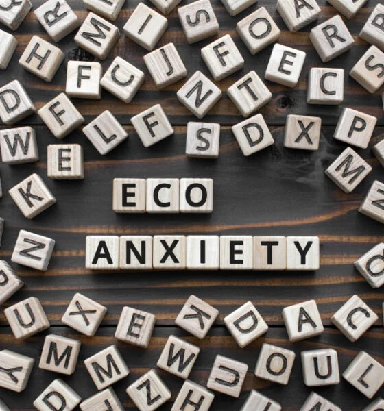 Eco-anxiety,