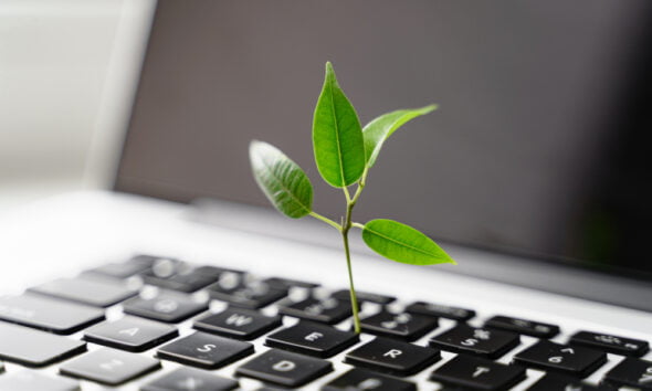 data and green businesses