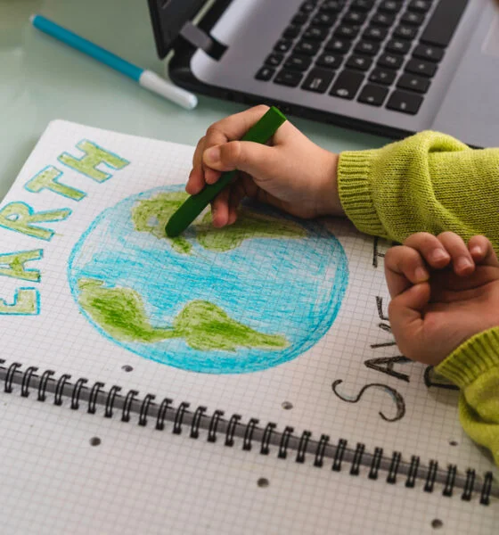 what are eco-schools