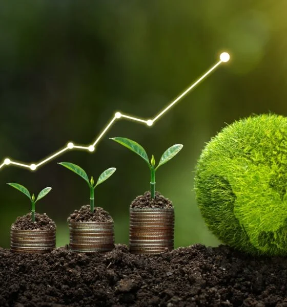 save money going green