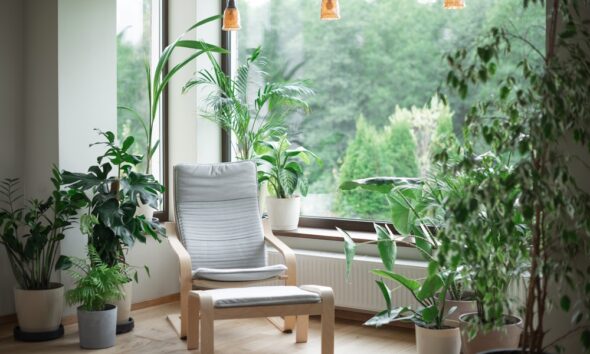 eco-friendly furniture