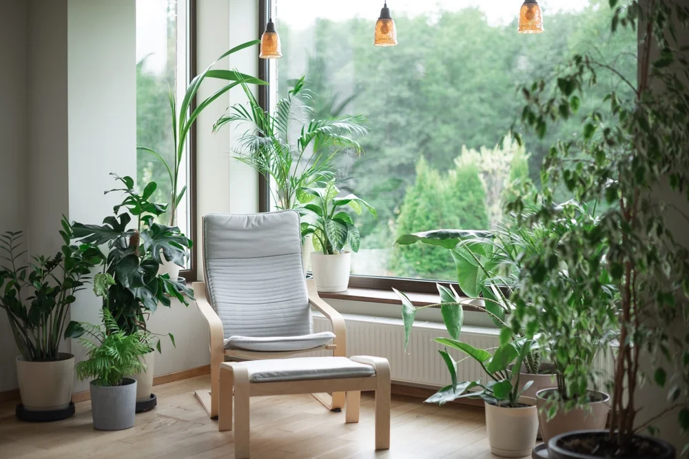 eco-friendly furniture