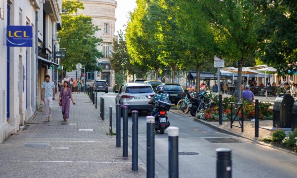 traffic impact on environment