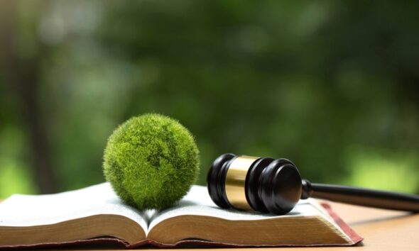 eco-friendly DWI lawyer