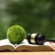 eco-friendly DWI lawyer