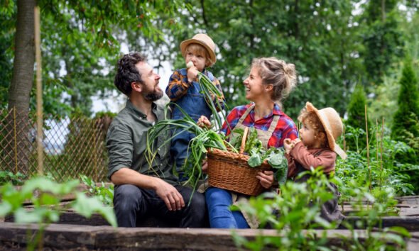 sustainable backyard garden design