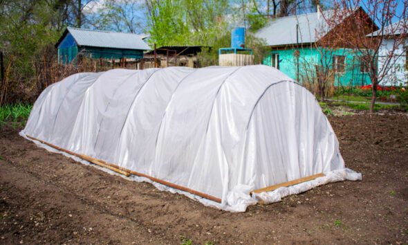 polythene for eco-friendly farmers