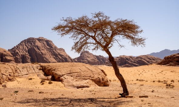 prepare for climate change