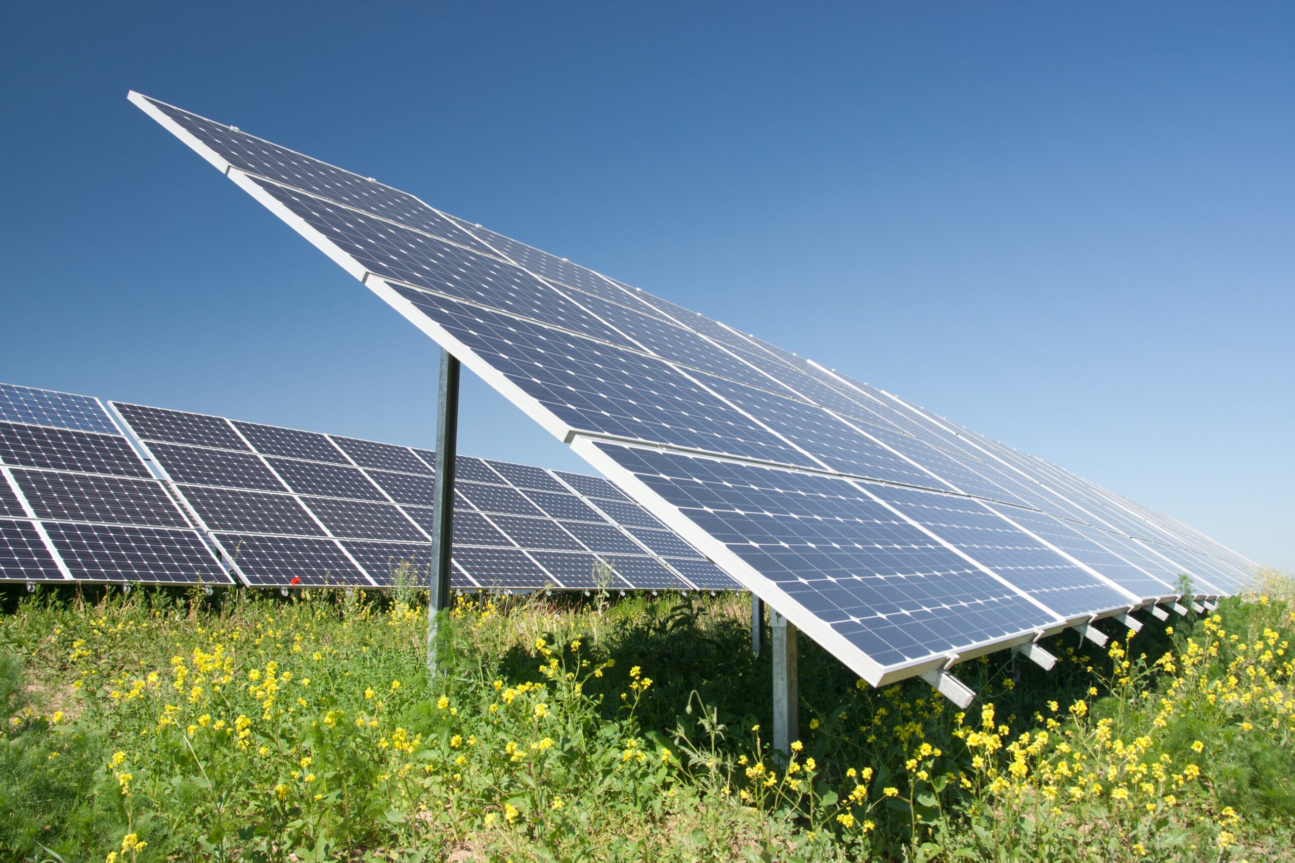 Comparing Renewable Energy: Solar Power, Wind, Hydro & Bio - Vimarsana News