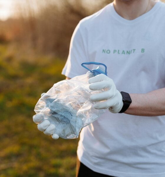 environmental-friendly