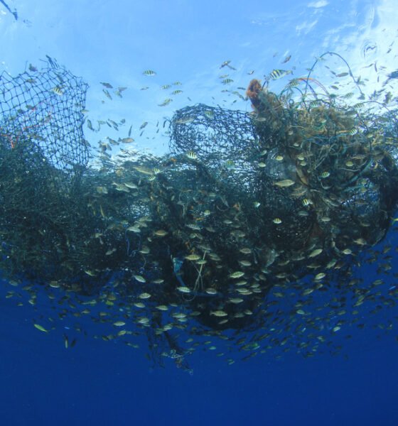 How Are Sustainable Fishing Practices Evolving?