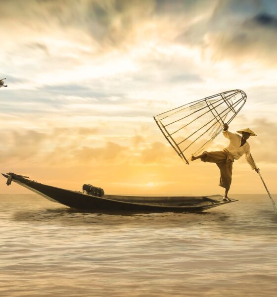 sustainable fishing new zealand