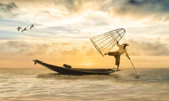 sustainable fishing new zealand