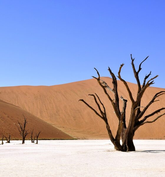 global water scarcity