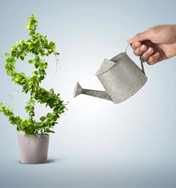 sustainable strategies green business