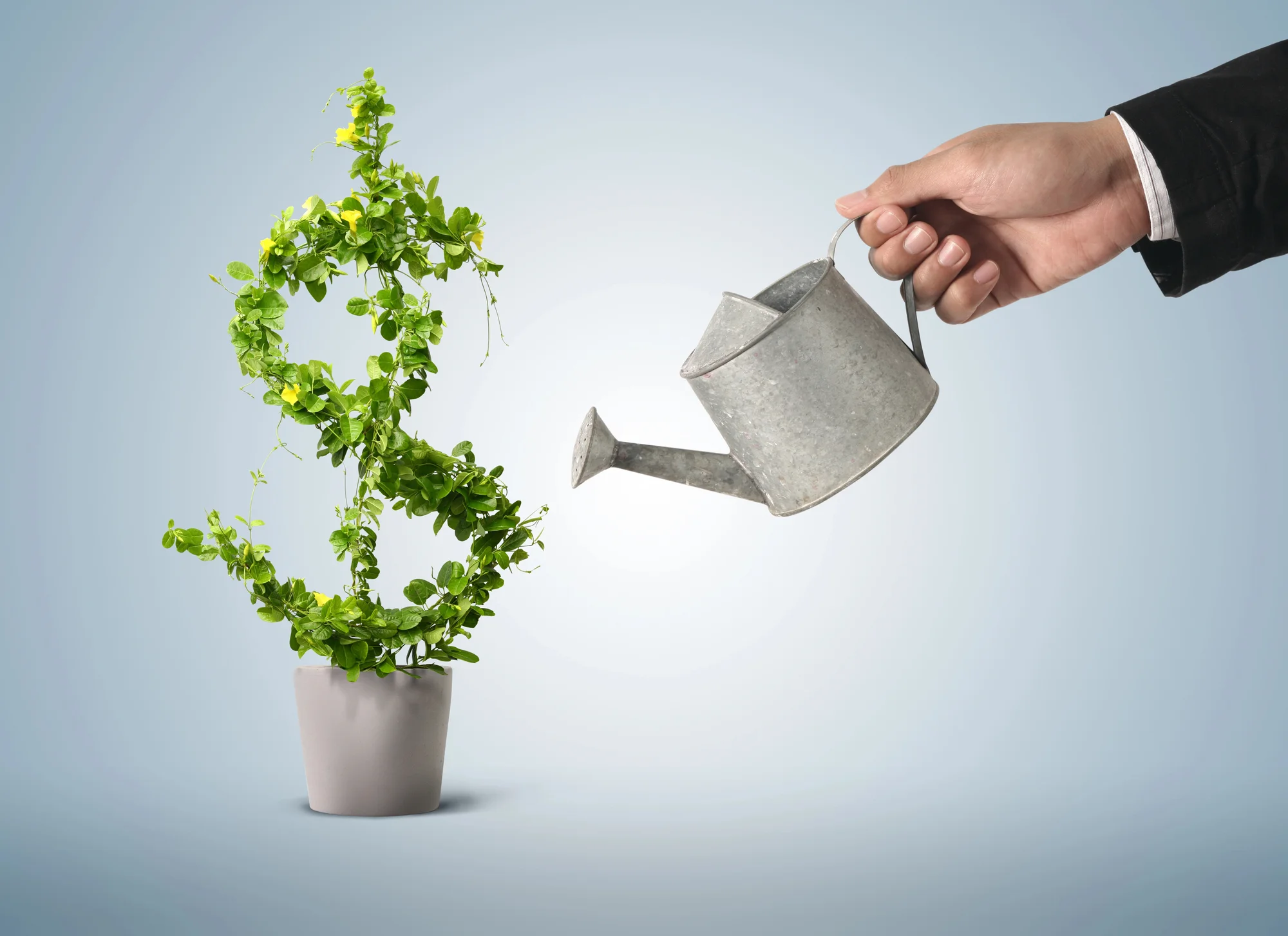 sustainable strategies green business