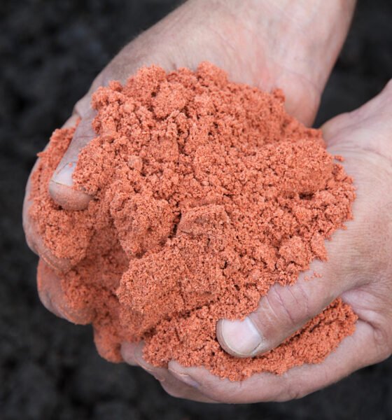 potash sustainable investing