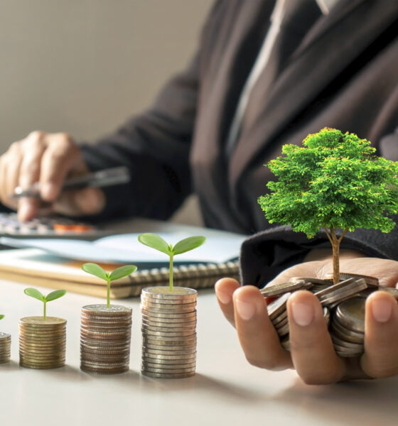 eco-friendly investments