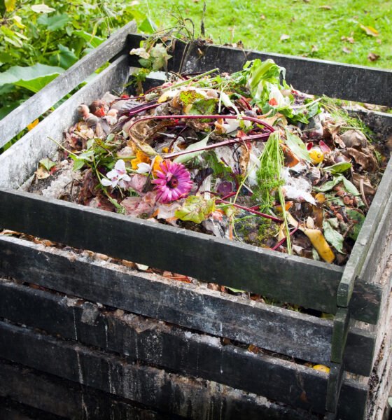 eco-friendly composting