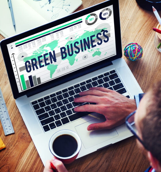 green business software