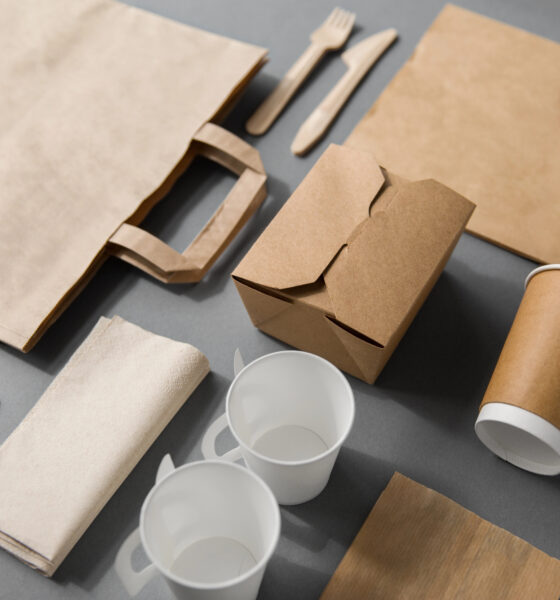 eco-friendly food packaging