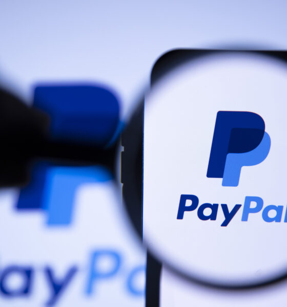 paypal live sustainably