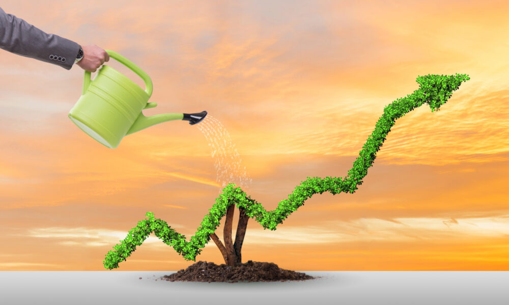 Sustainable Growth