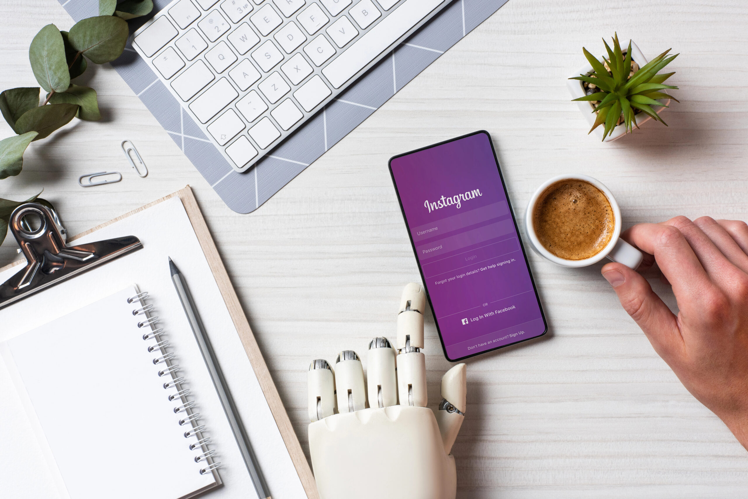 website traffic for green business