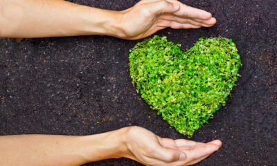 Eco-friendly garden