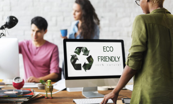 eco-friendly business