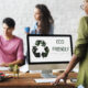 eco-friendly business