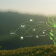 green business seo