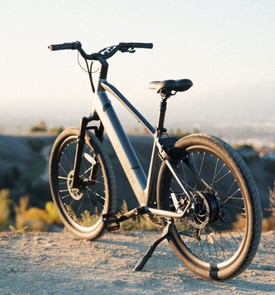 Favorite eBikes