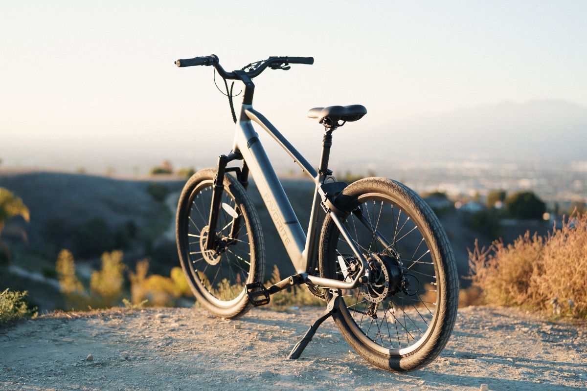 Favorite eBikes