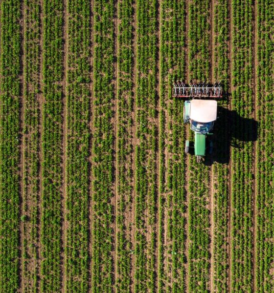 sustainable food demand