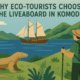 Why Eco-Tourists Choose the Liveaboard in Komodo -- AI-generated illustration